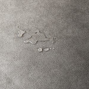 Lucien - Image 4